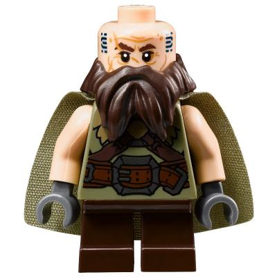 Dwalin the Dwarf