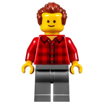 Red Torso Plaid, Dark Bluish Grey Legs, Reddish Brown Hair