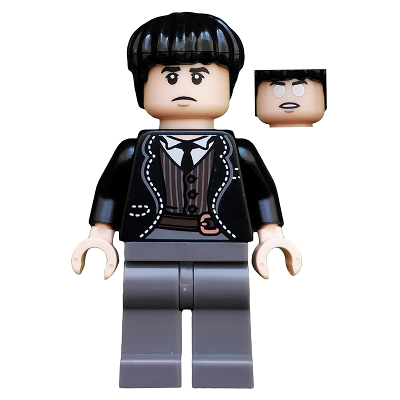 Credence Barebone, Harry Potter, Serie 1